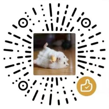 谢剑锋 微信支付